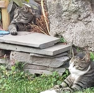 Meet your Posher, Brenda